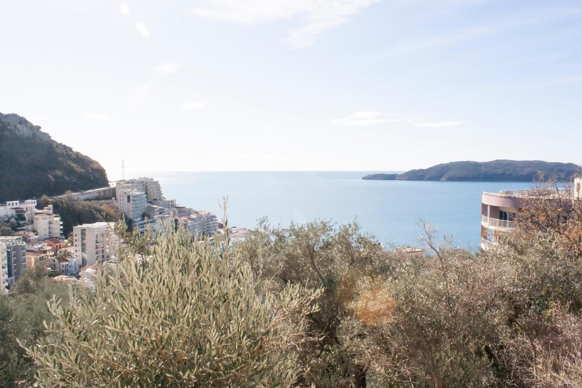 Apartman Olive Hill *